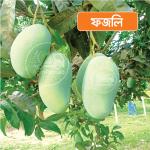 Fazli Mango 20 KG