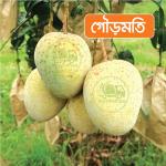 Gourmoti Mango 20 KG