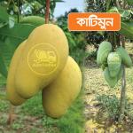 Katimoon Mango 10 KG