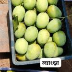Langra Mango 20 KG ল্যাংড়া