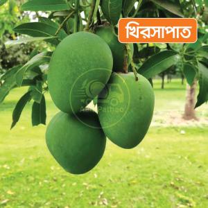 Khirsapat 10 KG
